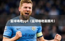 篮球场地ppt（篮球场地面图片）