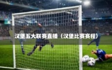 汉堡五大联赛直播（汉堡比赛赛程）