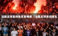 法国足球青训体系有哪些（法国足球青训排名）