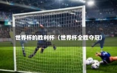 世界杯的胜利杯（世界杯全胜夺冠）