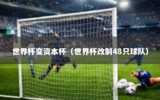 世界杯变资本杯（世界杯改制48只球队）