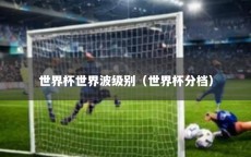 世界杯世界波级别（世界杯分档）