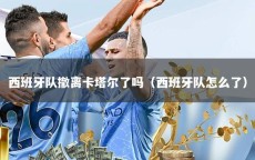 西班牙队撤离卡塔尔了吗（西班牙队怎么了）