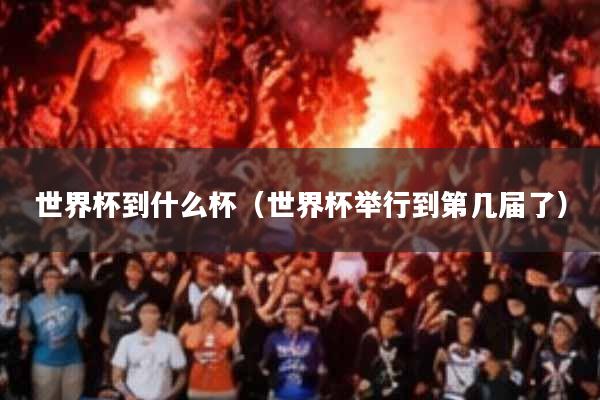 世界杯到什么杯(世界杯举行到第几届了)