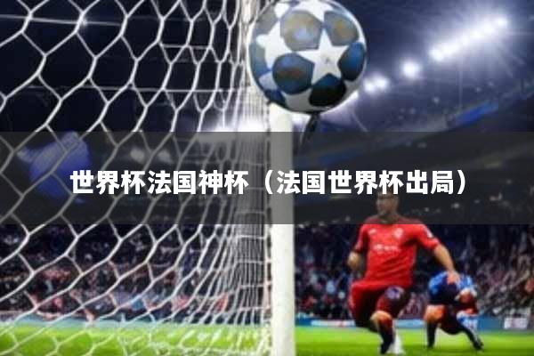 世界杯法国神杯(法国世界杯出局)